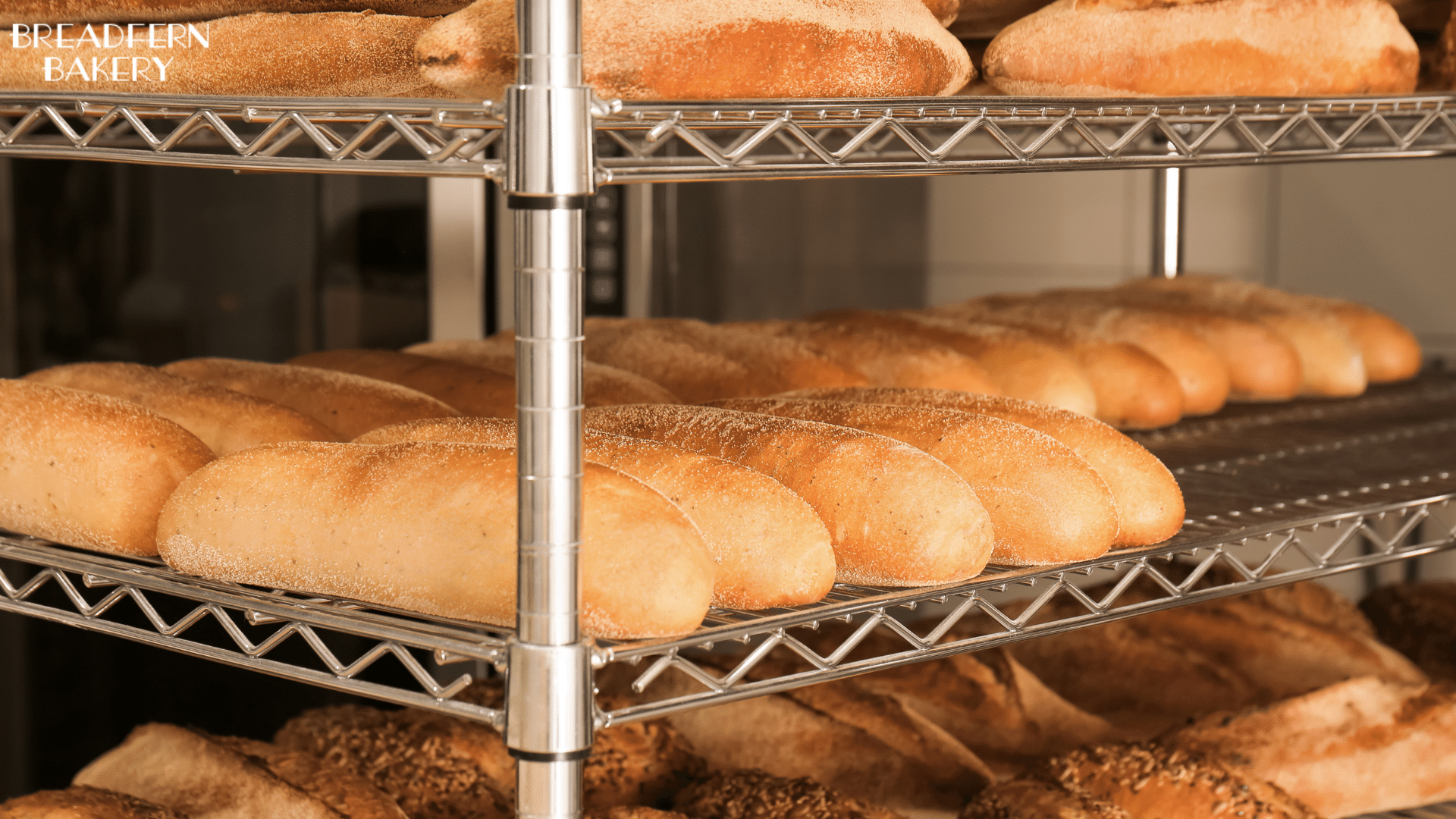 Wholesale Bakery in Sydney Breadfern Bakery